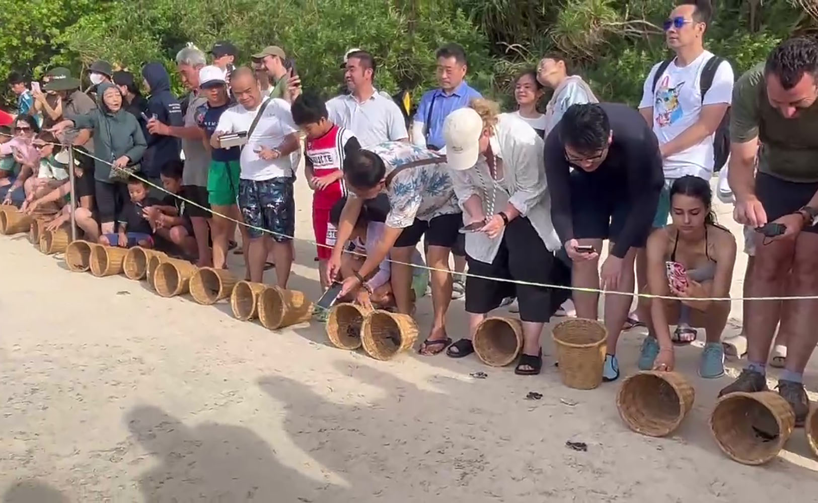 꼰다오 국립공원, 새끼 거북 5,600여 마리 바다로 방류